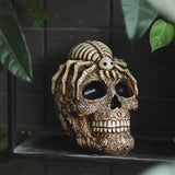 Skull And Spider Resin Statues Skeleton Dark Academia Home Office Desk Decor Halloween Party Decoration