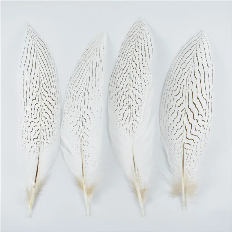 10Pcs Natural Silver Pheasant Tail Feathers for Crafts and Decorations 10-30CM 4-12 Inch