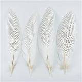 10Pcs Natural Silver Pheasant Tail Feathers for Crafts and Decorations 10-30CM 4-12 Inch
