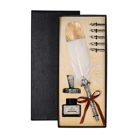 Calligraphy Feather Quill Fountain Pen Set Gift Box