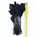 50/100 Pcs Black Goose Chicken Pheasant Feathers DIY Crafts