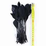 50/100 Pcs Black Goose Chicken Pheasant Feathers DIY Crafts