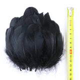 50/100 Pcs Black Goose Chicken Pheasant Feathers DIY Crafts