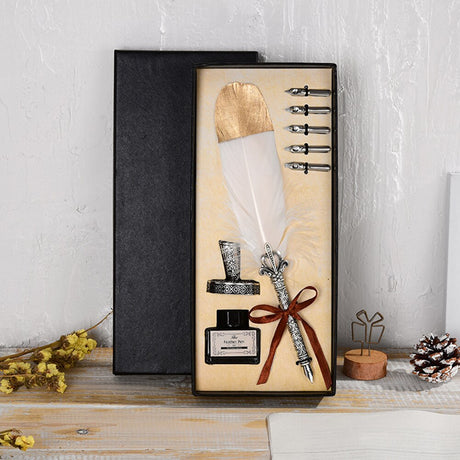 Calligraphy Feather Quill Fountain Pen Set Gift Box