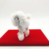 9cm Teddy Dog Mini Poodle Plushie Toy