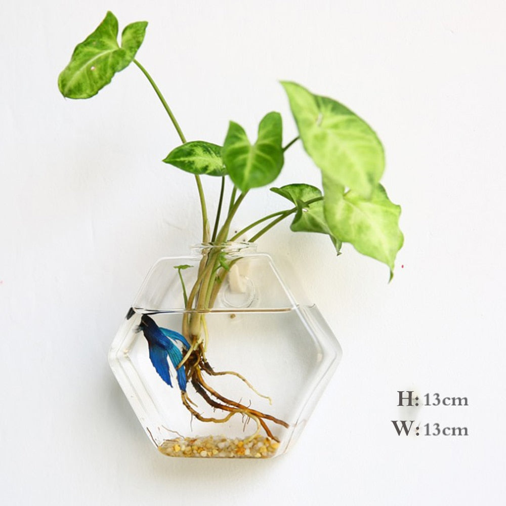 Glass Water Plant Wall Vases