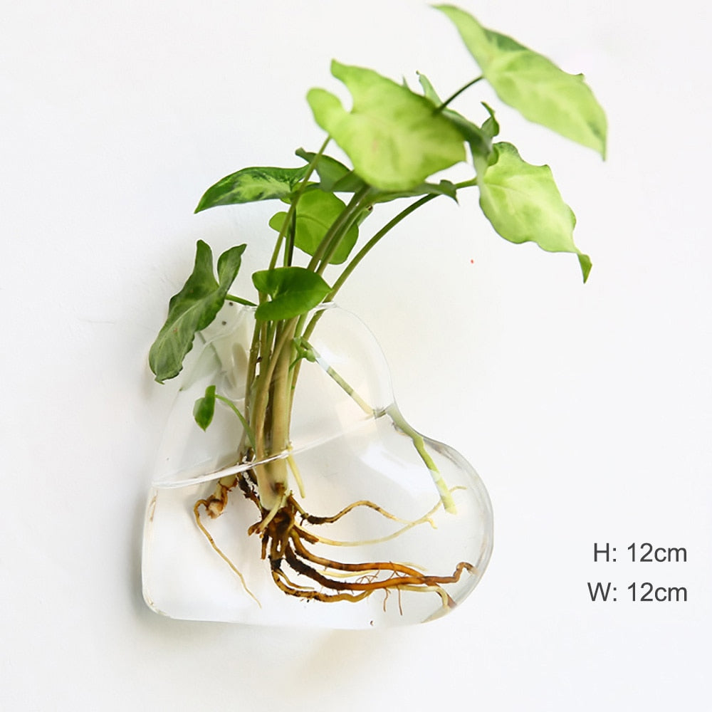 Glass Water Plant Wall Vases