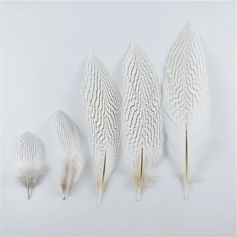 10Pcs Natural Silver Pheasant Tail Feathers for Crafts and Decorations 10-30CM 4-12 Inch