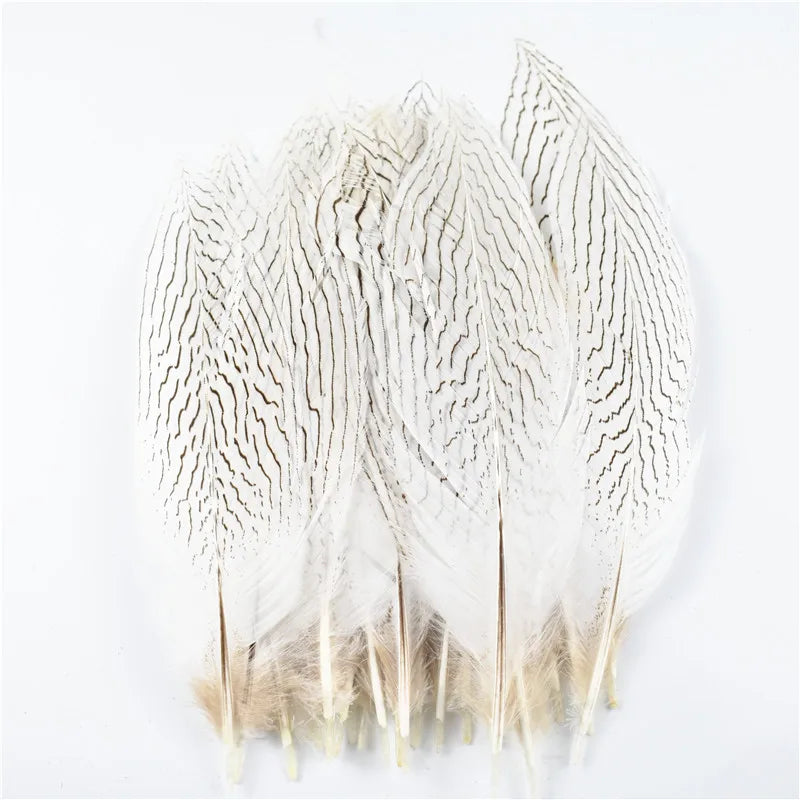 10Pcs Natural Silver Pheasant Tail Feathers for Crafts and Decorations 10-30CM 4-12 Inch