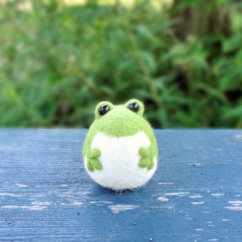 DIY Felt kit Cute Frog Wool Needle Felt Doll Wool Felting Poked Kit DIY Handcrafting Package
