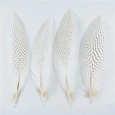 10Pcs Natural Silver Pheasant Tail Feathers for Crafts and Decorations 10-30CM 4-12 Inch