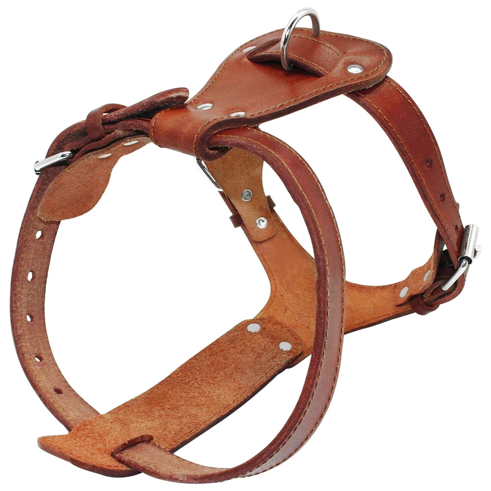 Genuine Leather Dog Harness Brown Real Leather Adjustable Straps Medieval Cosplay
