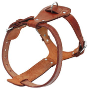 Genuine Leather Dog Harness Brown Real Leather Adjustable Straps Medieval Cosplay