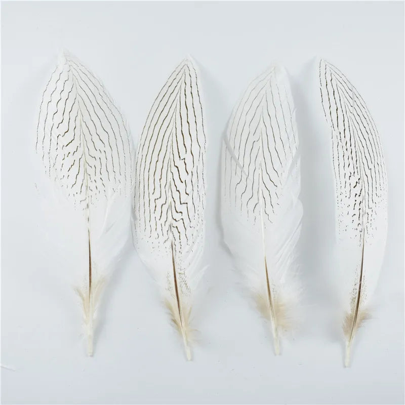 10Pcs Natural Silver Pheasant Tail Feathers for Crafts and Decorations 10-30CM 4-12 Inch