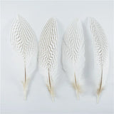 10Pcs Natural Silver Pheasant Tail Feathers for Crafts and Decorations 10-30CM 4-12 Inch