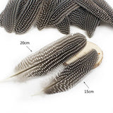 100Pcs 15-20CM Natural Pheasant Spotted Feathers DIY Crafts