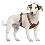 Genuine Leather Dog Harness Brown Real Leather Adjustable Straps Medieval Cosplay
