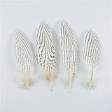 10Pcs Natural Silver Pheasant Tail Feathers for Crafts and Decorations 10-30CM 4-12 Inch