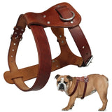 Genuine Leather Dog Harness Brown Real Leather Adjustable Straps Medieval Cosplay