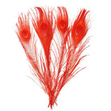 100Pcs Ivory & Dyed White Peacock Feathers Decor DIY Crafts 25-32CM