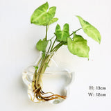 Glass Water Plant Wall Vases