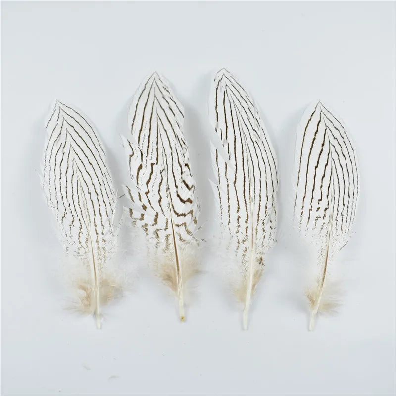 10Pcs Natural Silver Pheasant Tail Feathers for Crafts and Decorations 10-30CM 4-12 Inch