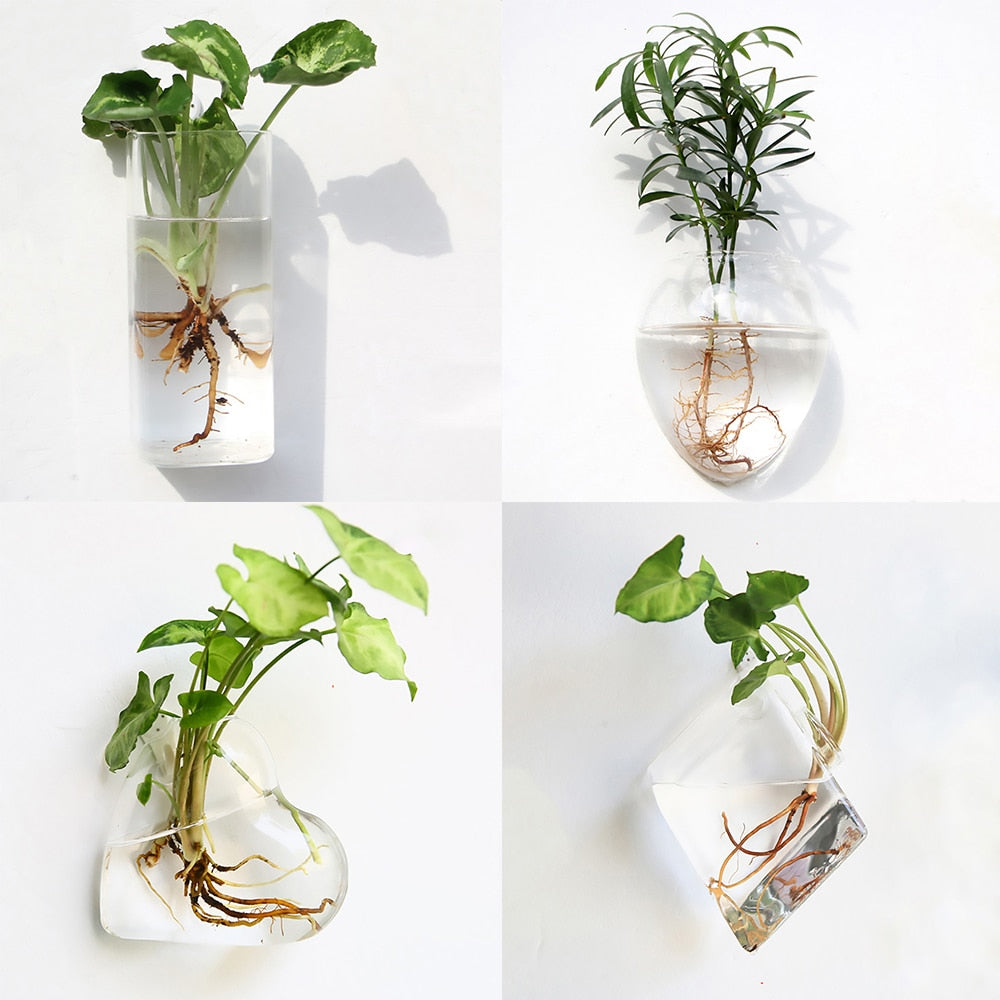 Glass Water Plant Wall Vases