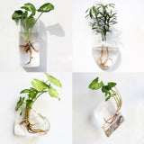 Glass Water Plant Wall Vases