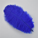 Ten Dyed 15-20cm Ostrich Feathers Plumes DIY Crafts