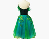 Custom Made High-end Long Tutu Ballet Professional Performance Dance Dress