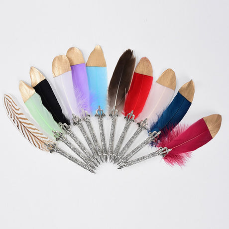 Calligraphy Feather Quill Fountain Pen Set Gift Box