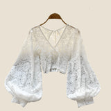 Lace Crop Top Black/White/Brown Long Lantern Sleeve