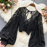 Lace Crop Top Black/White/Brown Long Lantern Sleeve