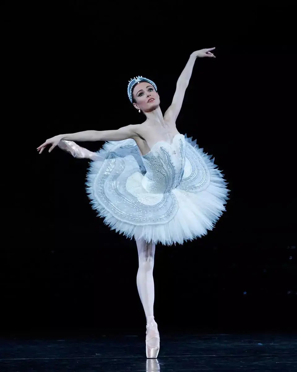 Royal Gold Swan Lake Professional Pancake Ballet Tutu Dress Ballet