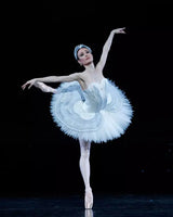 Royal Gold Swan Lake Professional Pancake Ballet Tutu Dress Ballet