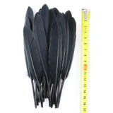 50/100 Pcs Black Goose Chicken Pheasant Feathers DIY Crafts