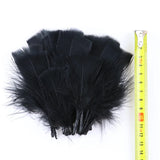 50/100 Pcs Black Goose Chicken Pheasant Feathers DIY Crafts