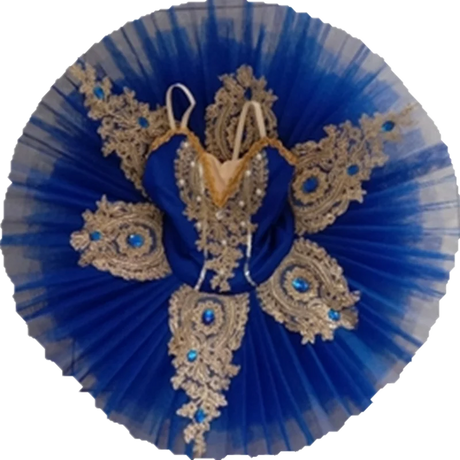 Royal Gold Swan Lake Professional Pancake Ballet Tutu Dress Ballet