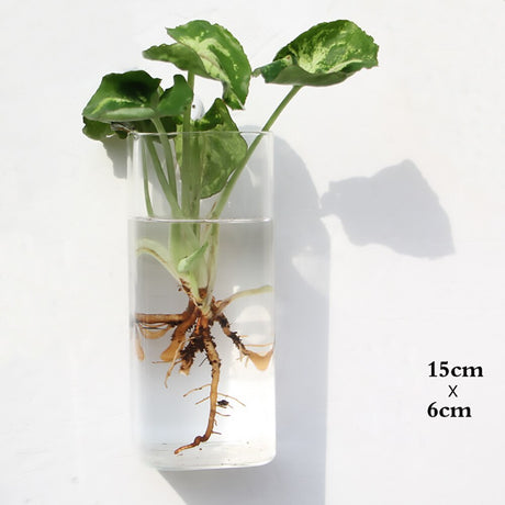 Glass Water Plant Wall Vases