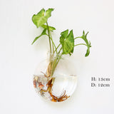 Glass Water Plant Wall Vases