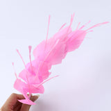 1pc Dyed Goose Feather 25-30CM DIY Crafts