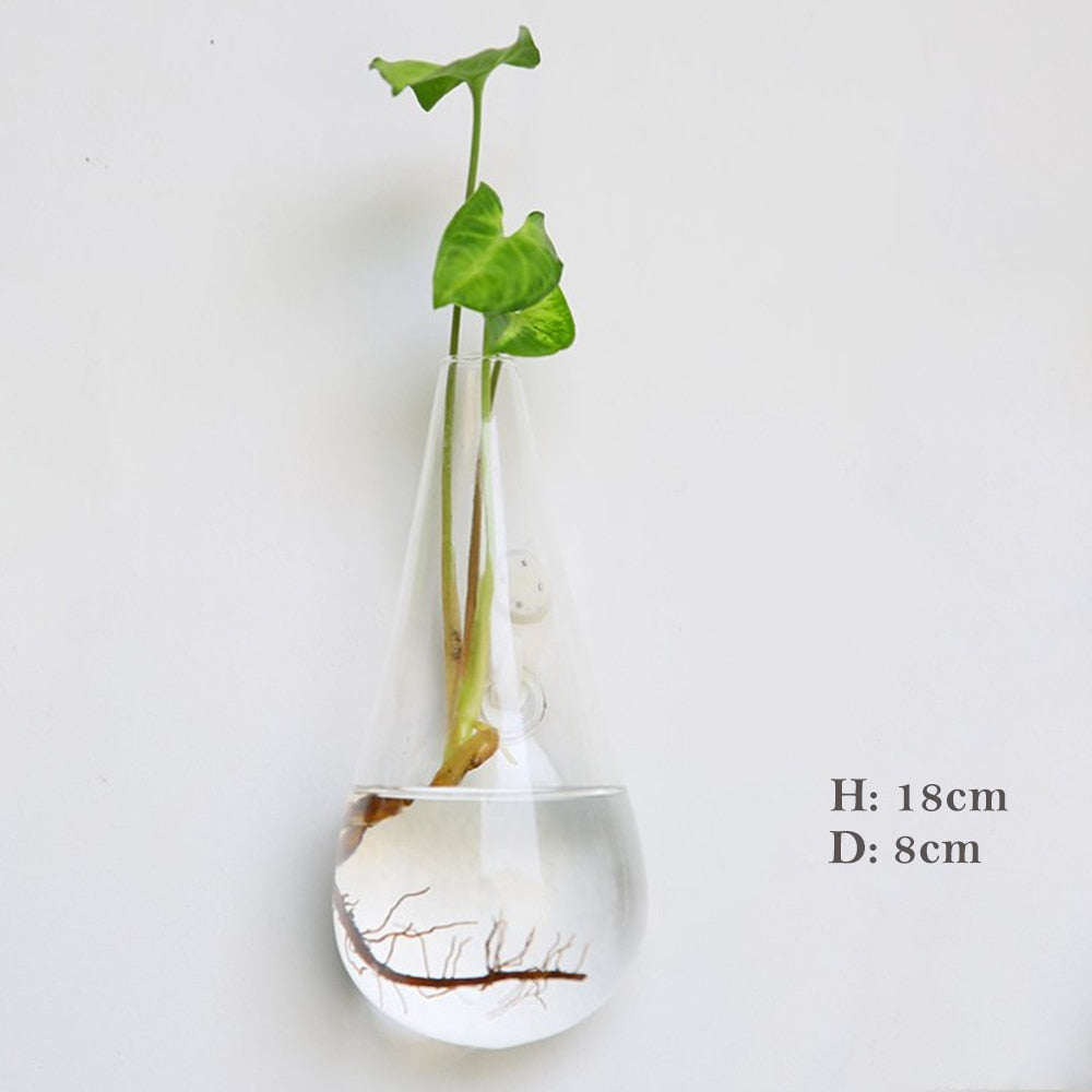 Glass Water Plant Wall Vases