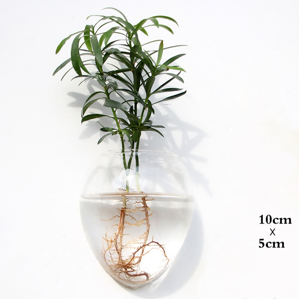 Glass Water Plant Wall Vases