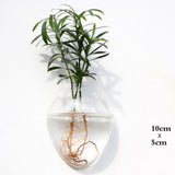 Glass Water Plant Wall Vases
