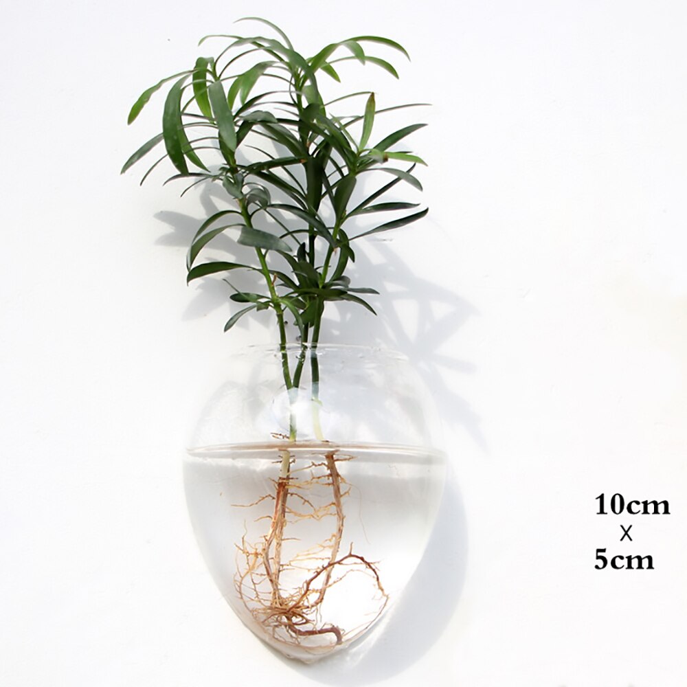 Glass Water Plant Wall Vases