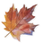 Woodland Gatherer Australian Online Shop Whimsy & Wonder BNPL Afterpay logo