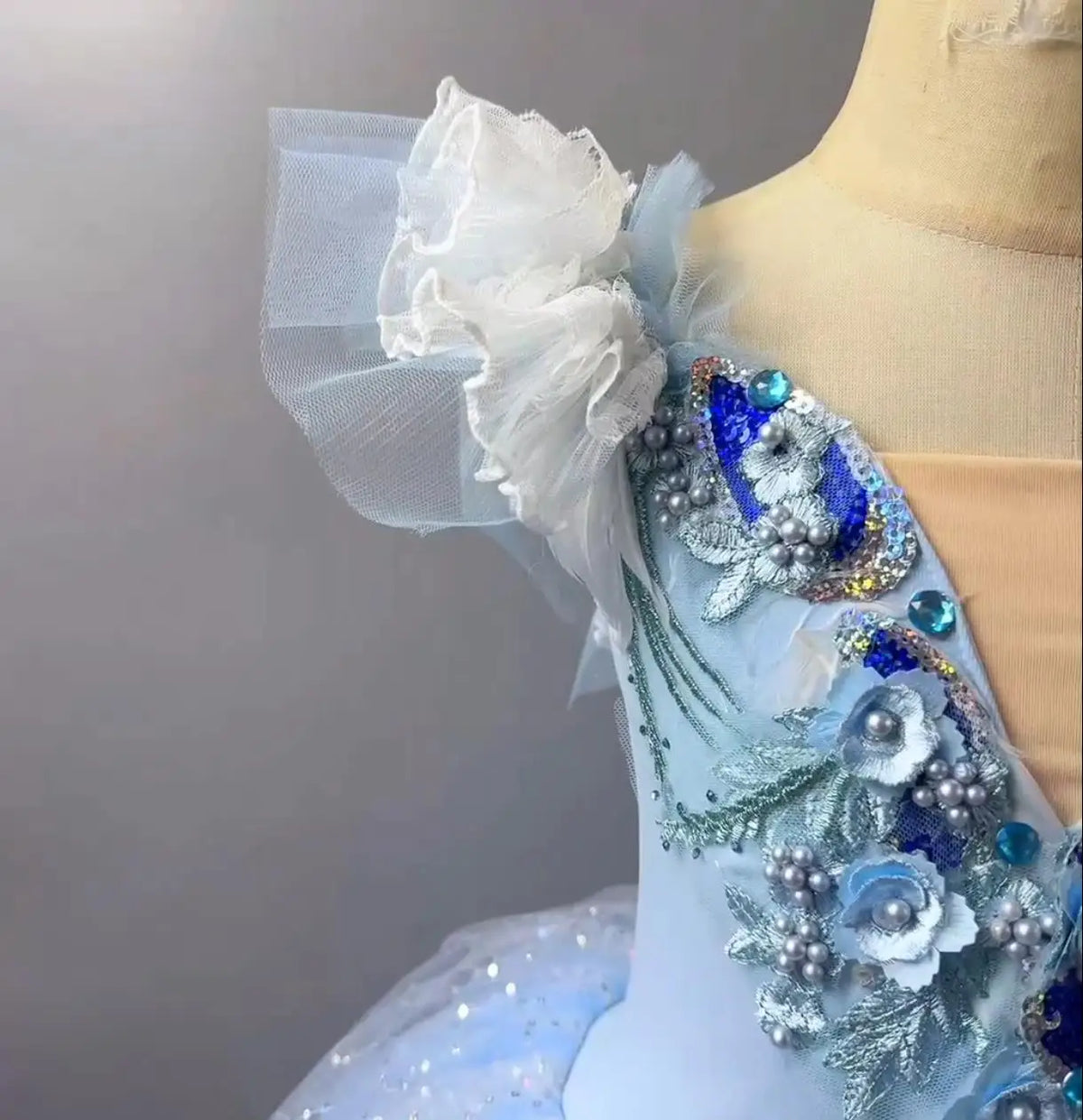 Long Ballet Tutu Dress Dance Performance Dress