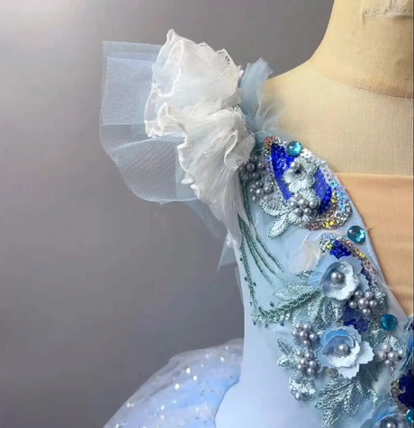 Long Ballet Tutu Dress Dance Performance Dress