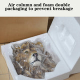 Resin Tiger Lion Wolf Bear Animal Head Wall Decor