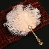 Ostrich Feather Fan Round Fan with Golden Hollow Handle Court Dance Hand Fans